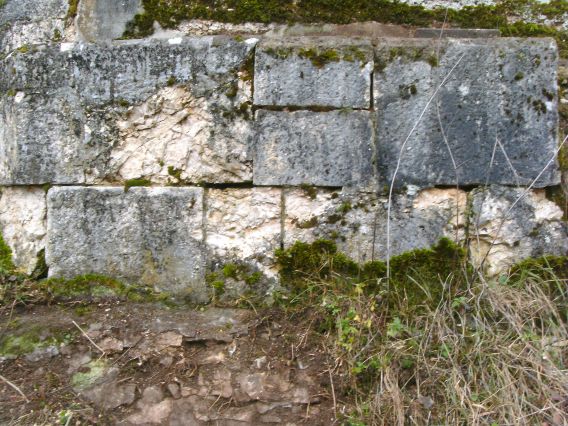  (Gr&ouml;&szlig;e ca. 133 kB)