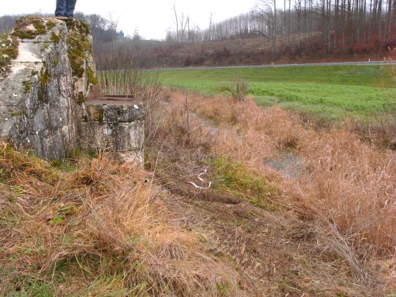  (Gr&ouml;&szlig;e ca. 118 kB)