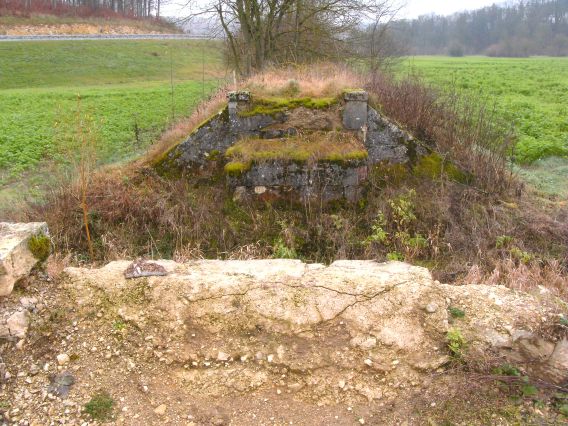  (Gr&ouml;&szlig;e ca. 124 kB)