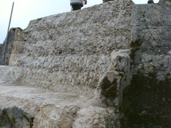  (Gr&ouml;&szlig;e ca. 109 kB)