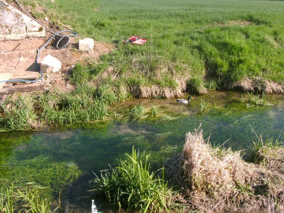  (Gr&ouml;&szlig;e ca. 139 kB)