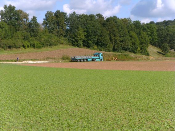  (Gr&ouml;&szlig;e ca. 55 kB)