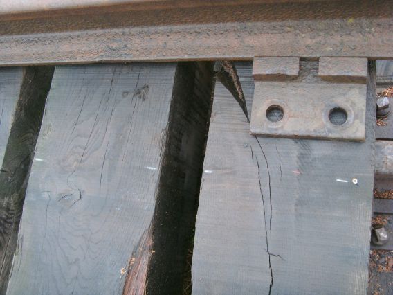  (Gr&ouml;&szlig;e ca. 39 kB)