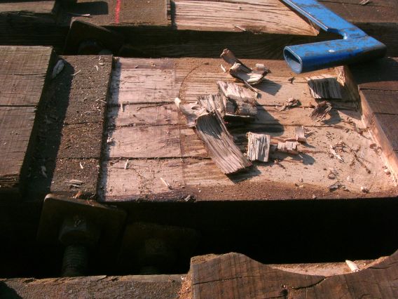  (Gr&ouml;&szlig;e ca. 54 kB)