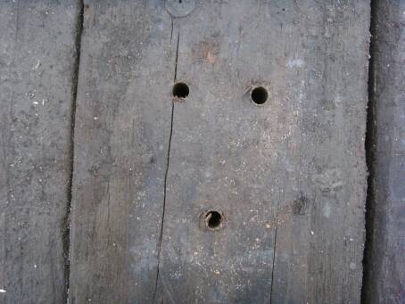 (Gr&ouml;&szlig;e ca. 23 Kb)