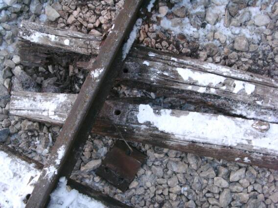 (Gr&ouml;&szlig;e ca. 50 Kb)