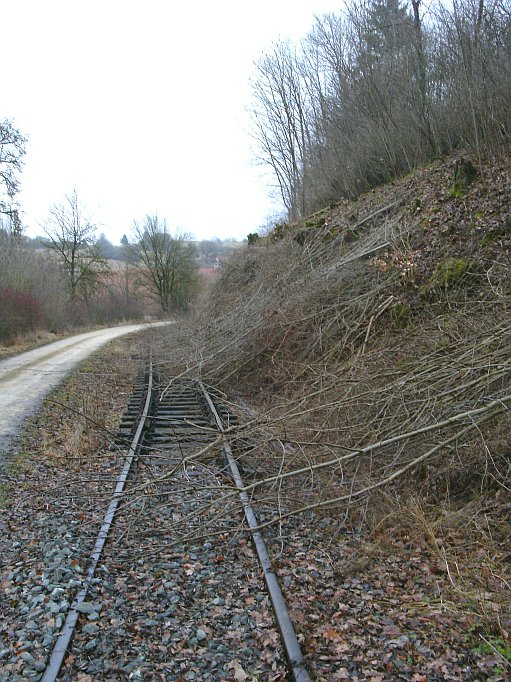  (Gr&ouml;&szlig;e ca. 126 kb)