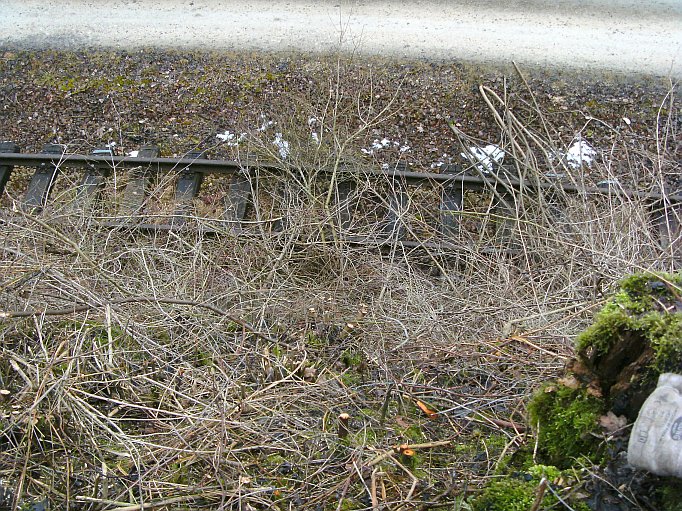  (Gr&ouml;&szlig;e ca. 180 kb)