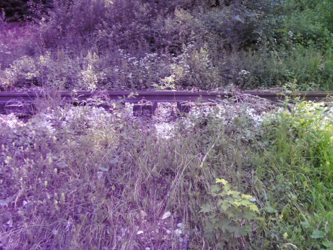  (Gr&ouml;&szlig;e ca. 104 kb)