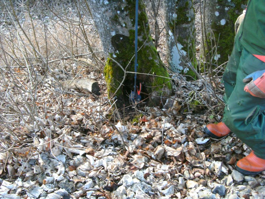  (Gr&ouml;&szlig;e ca. 191 kb)