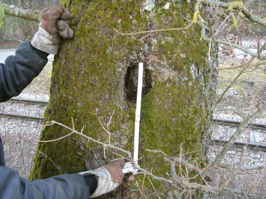  (Gr&ouml;&szlig;e ca. 198 kb)