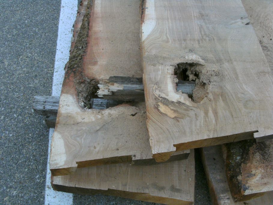  (Gr&ouml;&szlig;e ca. 109 kb)