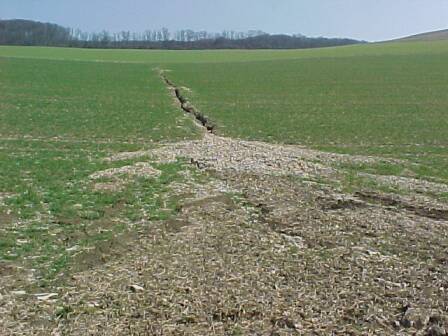 Erosionsrinne im Klosteracker (Gr&ouml;&szlig;e ca. 30 kb)