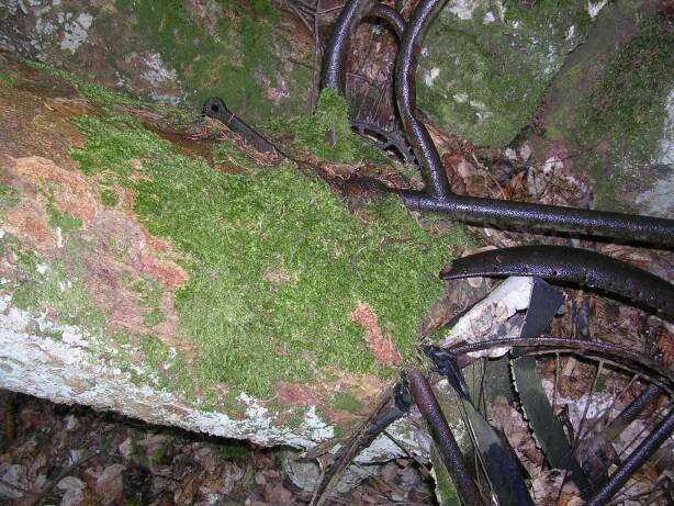 Fahrrad im Detail (Gr&ouml;&szlig;e ca. 72 kb)