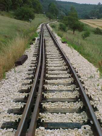 Auslauf Dischinger Seite (Gr&ouml;&szlig;e ca. 24 kb)