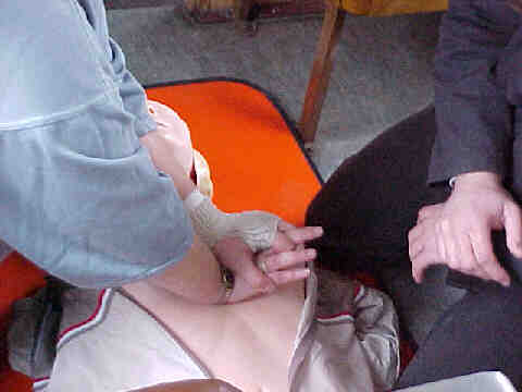 HLW - Vorf&uuml;hrung (Gr&ouml;&szlig;e ca. 13,5 Kb)