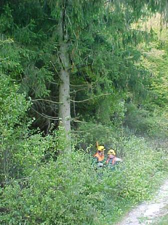 Wohin soll er fallen(Gr&ouml;&szlig;e ca 39 kb)