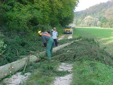 Wir machen den Weg frei.... (Gr&ouml;&szlig;e ca 31 kb)