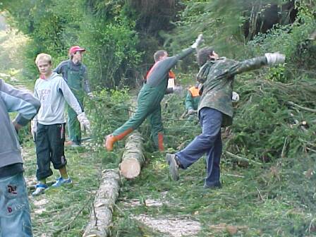 Weg mit den &Auml;sten (Gr&ouml;&szlig;e ca 36 kb)