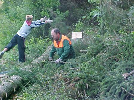 Fast fertig (Gr&ouml;&szlig;e ca 28 kb)