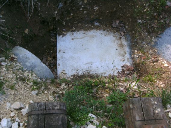  (Gr&ouml;&szlig;e ca. 60kB)