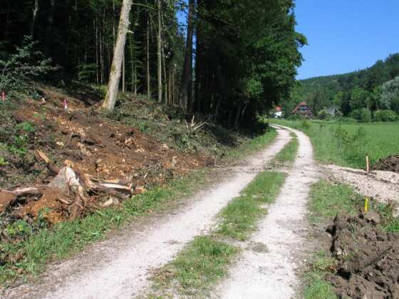 Kreuzung mit der Bahntrasse (Gr&ouml;&szlig;e ca 38 kb)