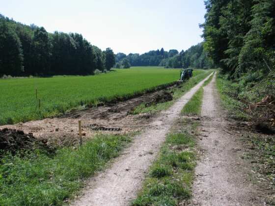 Kreuzung mit der Bahntrasse (Gr&ouml;&szlig;e ca 34 kb)