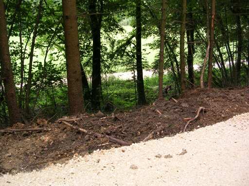 Blick vom Radweg auf die tiefer liegende Bahntrasse (Gr&ouml;&szlig;e ca 42 kb)