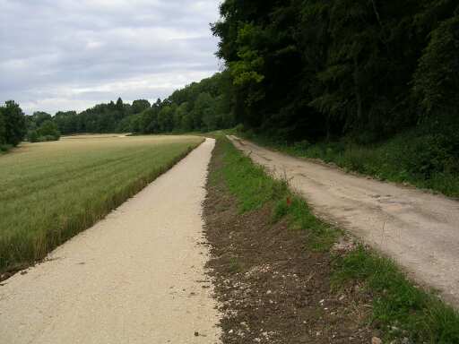 Radweg und Bahntrasse nebeneinander (Gr&ouml;&szlig;e ca 20 kb)