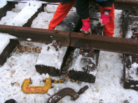 Genau ges&auml;gt und passt  (Gr&ouml;&szlig;e ca. 53 kB)