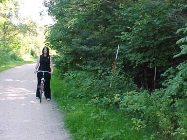 Weg parallel zur Bahntrasse (Gr&ouml;&szlig;e ca. 24 kB)