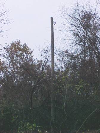 Ein Relikt der H&auml;rtsfeldbahn (Gr&ouml;&szlig;e ca. 25 kB)