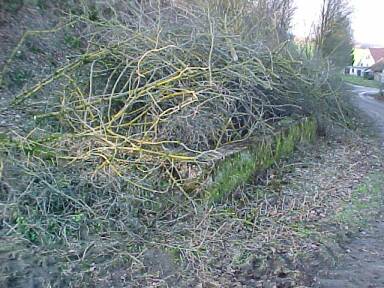 Fundament der Wartehalle (Gr&ouml;&szlig;e ca. 23 kB)
