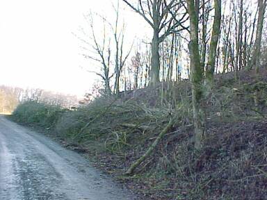 Bereich des Bahnsteigs (Gr&ouml;&szlig;e ca. 24 kB)