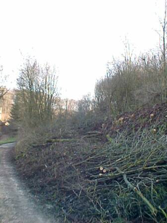 Einfahrt Iggenhausen, Neresheimer Seite (Gr&ouml;&szlig;e ca. 23 kB)