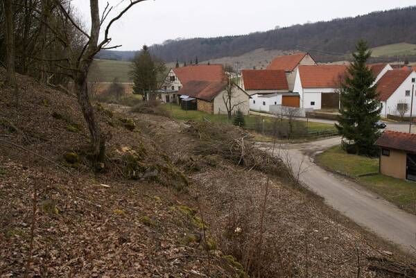 Bahndamm in Iggenhausen (Gr&ouml;&szlig;e ca. 49 kB)