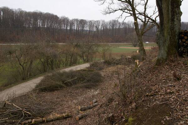 Iggenhausen Bahnsteigbereich (Gr&ouml;&szlig;e ca. 48 kB)