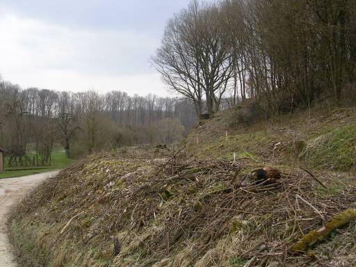 Im Bogen vor dem Bahnsteig (Gr&ouml;&szlig;e ca. 43 kB)