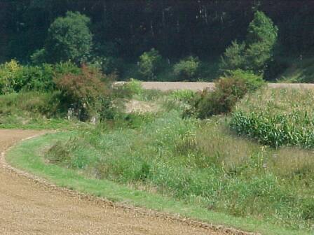 die fehlende Egau Br&uuml;cke  (Gr&ouml;&szlig;e ca. 26 kB)
