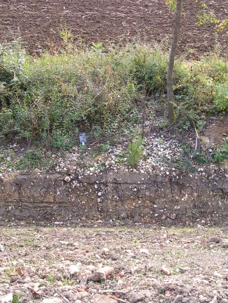 Die Bahntrasse im Detail (Gr&ouml;&szlig;e ca. 119 kB)