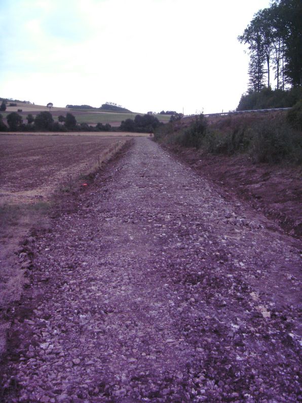  (Gr&ouml;&szlig;e ca. 98 kB)