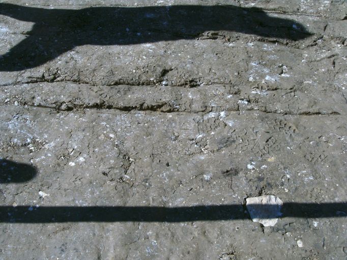  (Gr&ouml;&szlig;e ca. 89 kB)