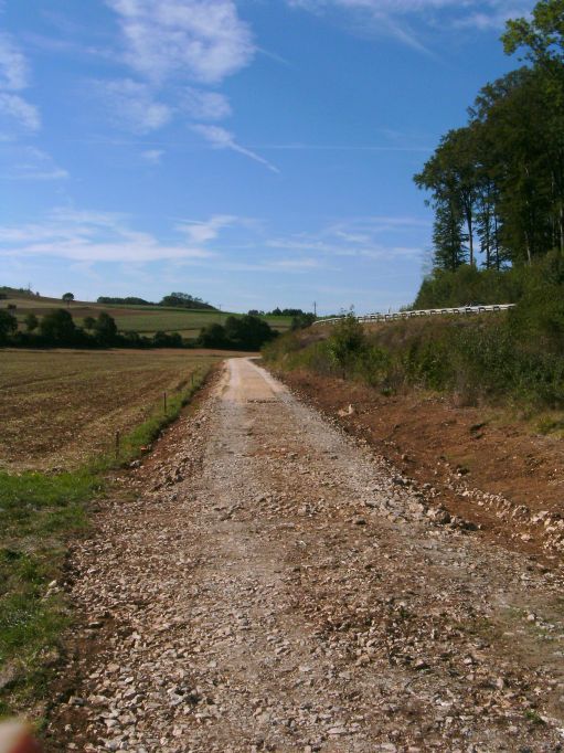  (Gr&ouml;&szlig;e ca. 82 kB)