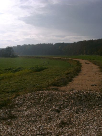  (Gr&ouml;&szlig;e ca. 37 kB)