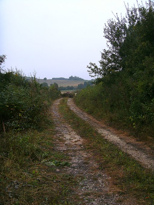  (Gr&ouml;&szlig;e ca. 104 kB)