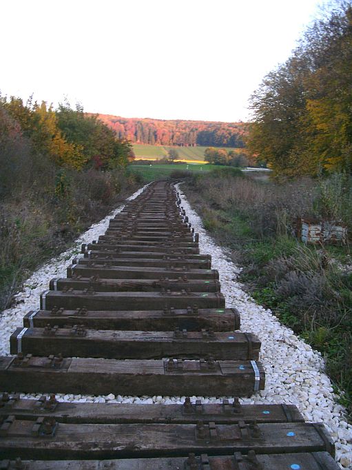  (Gr&ouml;&szlig;e ca. 73 kB)