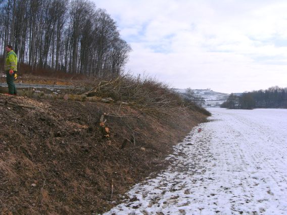  (Gr&ouml;&szlig;e ca. 105 kB)