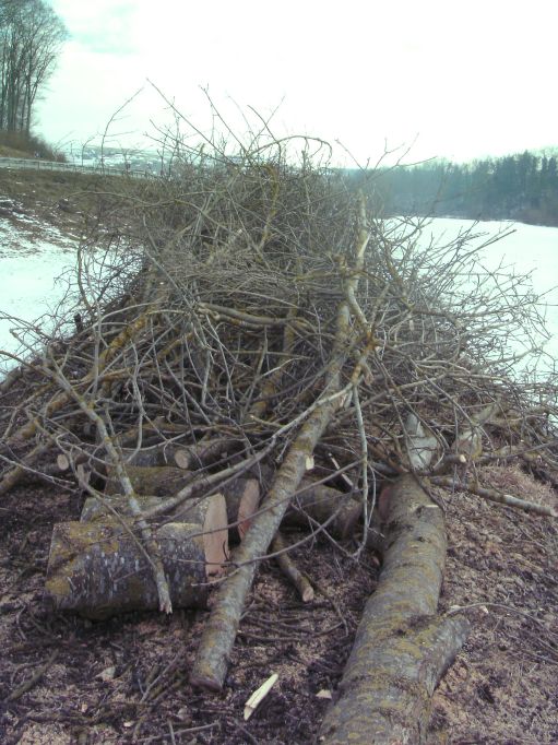  (Gr&ouml;&szlig;e ca. 140 kB)