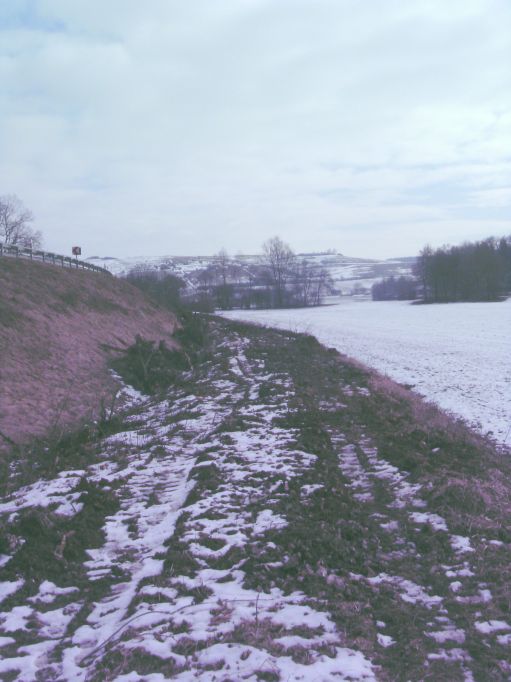  (Gr&ouml;&szlig;e ca. 100 kB)