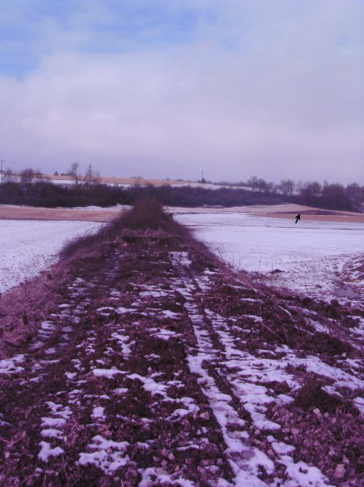  (Gr&ouml;&szlig;e ca. 109 kB)